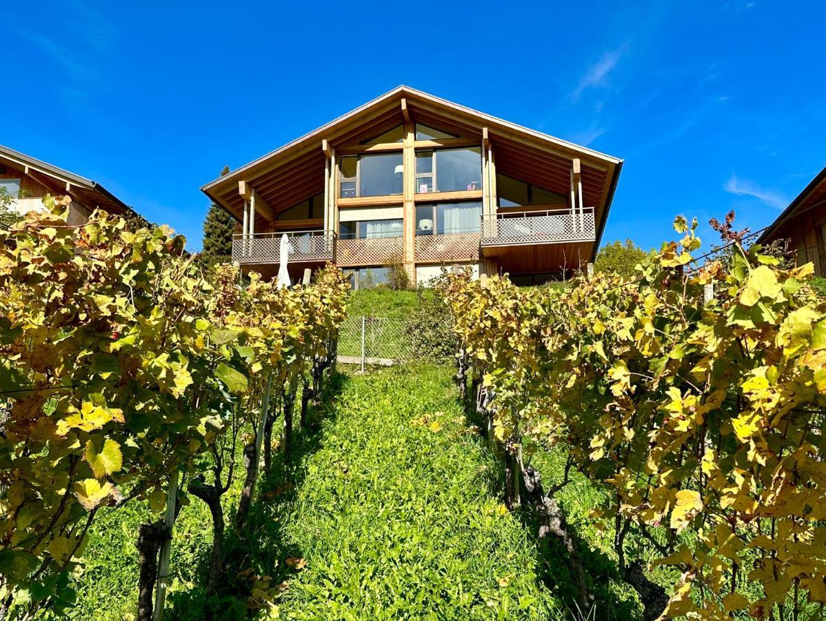 Seaside-Lodge, Top Apartment Spiez Exteriör bild